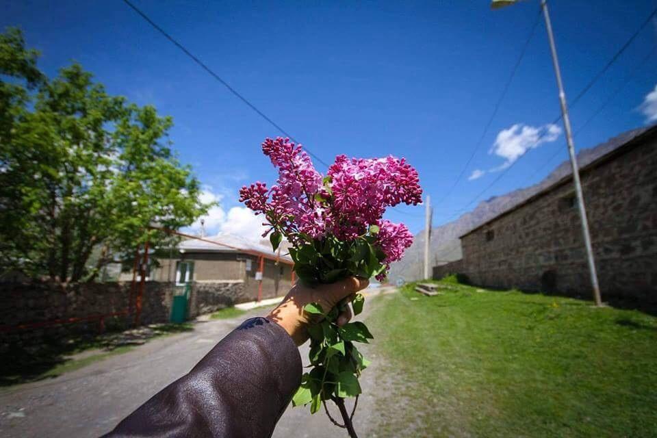 Guest House Elguja Qushashvili Kazbegi Luaran gambar